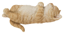 Load image into Gallery viewer, Sleeping Cat - Orange
