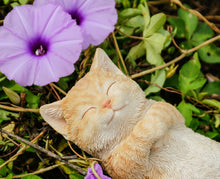 Load image into Gallery viewer, Sleeping Cat - Orange
