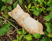 Load image into Gallery viewer, Sleeping Cat - Orange
