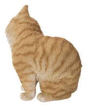 Load image into Gallery viewer, Yellow Cat Scratching Ear
