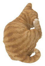 Load image into Gallery viewer, Yellow Cat Scratching Ear
