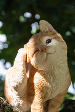 Load image into Gallery viewer, Yellow Cat Scratching Ear
