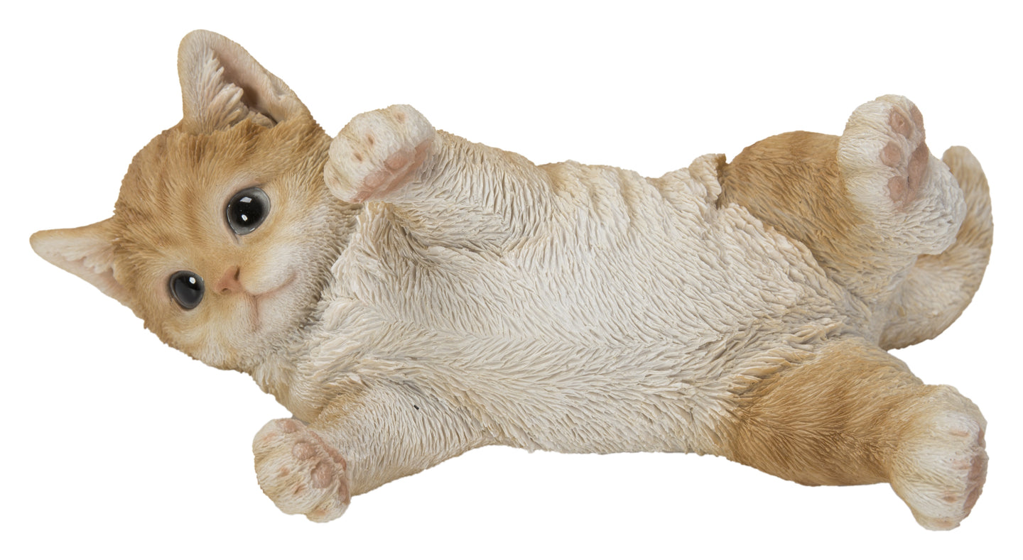 Lying Cat