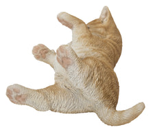 Load image into Gallery viewer, Lying Cat
