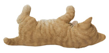Load image into Gallery viewer, Lying Cat
