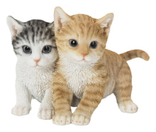 Load image into Gallery viewer, Kittens Sitting Together
