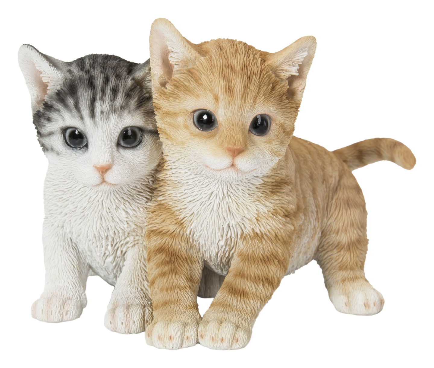 Kittens Sitting Together