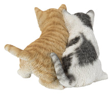Load image into Gallery viewer, Kittens Sitting Together
