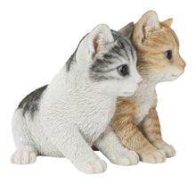 Load image into Gallery viewer, Kittens Sitting Together
