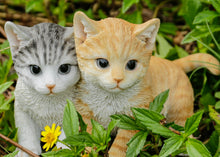 Load image into Gallery viewer, Kittens Sitting Together
