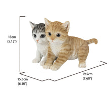 Load image into Gallery viewer, Kittens Sitting Together
