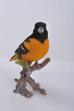 Load image into Gallery viewer, Oriole On Branch Statue
