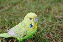 Load image into Gallery viewer, Green Budgerigar W/Iron Foot Statue
