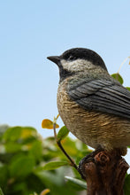 Load image into Gallery viewer, 87758-Q - Chickadee Peeking On Stump Garden Statue
