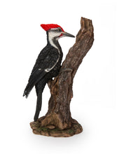 Load image into Gallery viewer, Pileated Woodpecker On A Tree Trunk Garden Statue
