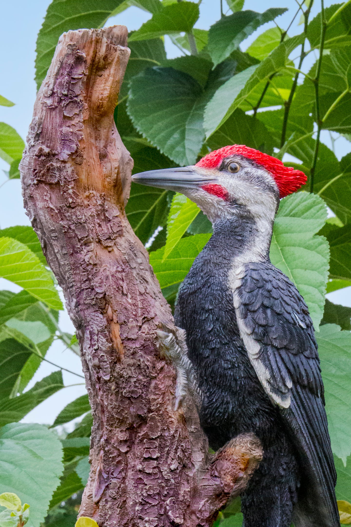 87758-R - Pileated Woodpecker on a tree trunk Garden Statue