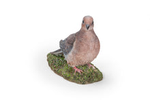 Load image into Gallery viewer, 87758-S - Mourning Dove On Grass Garden Statue
