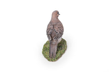 Load image into Gallery viewer, 87758-S - Mourning Dove On Grass Garden Statue
