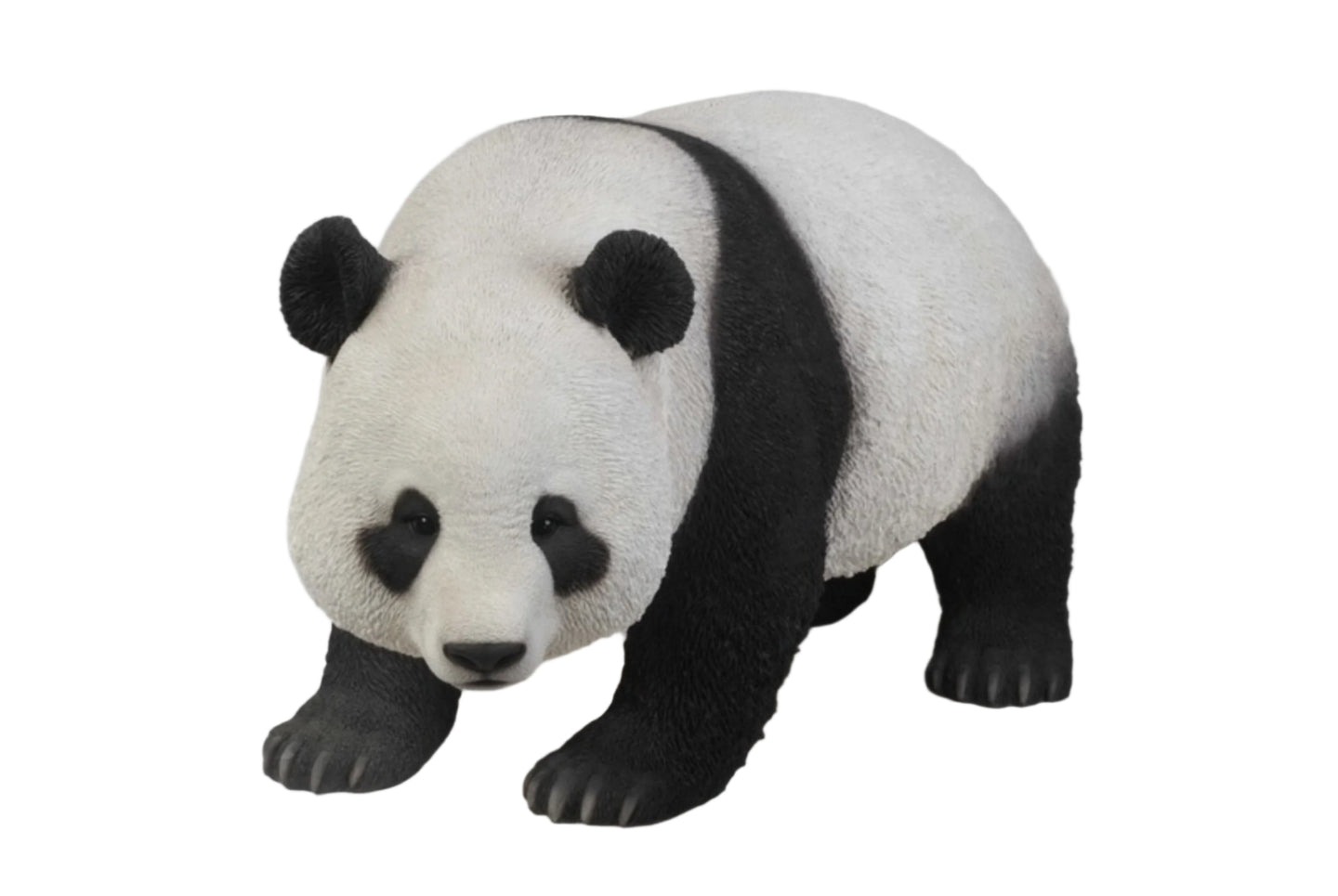 Panda Walking