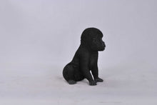 Load image into Gallery viewer, Gorilla Baby
