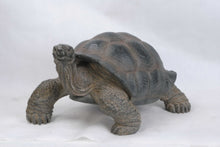 Load image into Gallery viewer, Xl Tortoise
