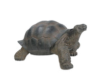 Load image into Gallery viewer, Xl Tortoise
