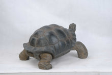 Load image into Gallery viewer, Xl Tortoise

