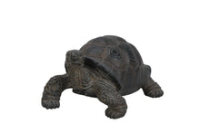 Load image into Gallery viewer, Small Tortoise
