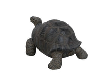 Load image into Gallery viewer, Small Tortoise
