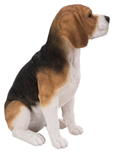 Load image into Gallery viewer, Beagle Dog Sitting
