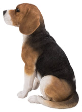 Load image into Gallery viewer, Beagle Dog Sitting
