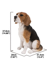 Load image into Gallery viewer, Beagle Dog Sitting
