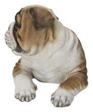 Load image into Gallery viewer, Lying Bulldog Pup

