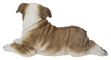 Load image into Gallery viewer, Lying Bulldog Pup
