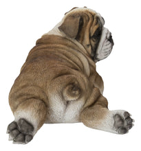 Load image into Gallery viewer, Lying Bulldog Pup
