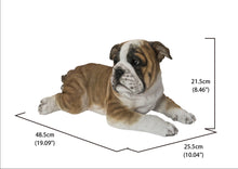 Load image into Gallery viewer, Lying Bulldog Pup
