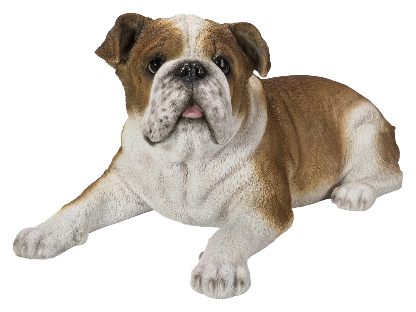 Lying Bulldog