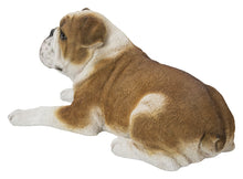 Load image into Gallery viewer, Lying Bulldog
