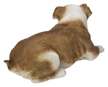 Load image into Gallery viewer, Lying Bulldog
