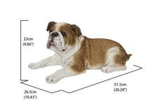 Load image into Gallery viewer, Lying Bulldog
