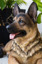 Load image into Gallery viewer, Lying German Shepherd
