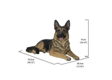 Load image into Gallery viewer, Lying German Shepherd
