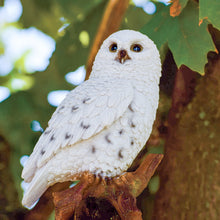 Load image into Gallery viewer, Small Snowy Owl On Stump
