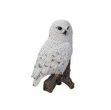 Load image into Gallery viewer, Small Snowy Owl On Stump
