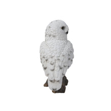 Load image into Gallery viewer, Small Snowy Owl On Stump

