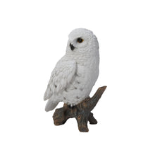 Load image into Gallery viewer, Small Snowy Owl On Stump
