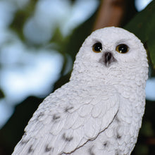 Load image into Gallery viewer, Small Snowy Owl On Stump
