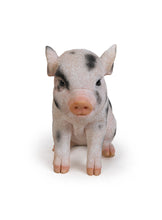 Load image into Gallery viewer, Sitting Baby Pig W/Black Spots
