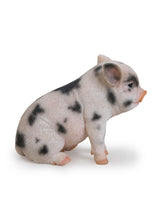 Load image into Gallery viewer, Sitting Baby Pig W/Black Spots
