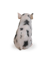 Load image into Gallery viewer, Sitting Baby Pig W/Black Spots
